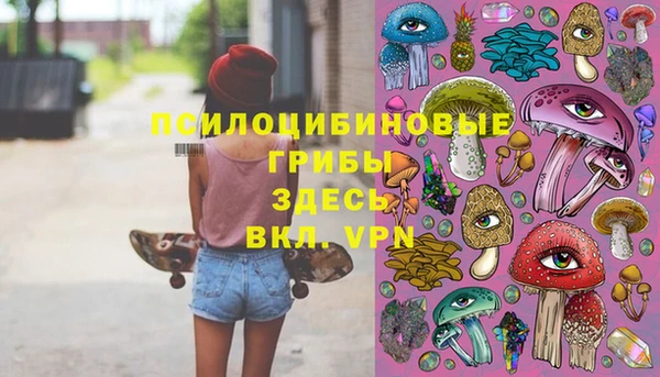 прущий лед Арсеньев