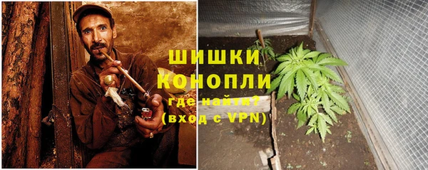 трава Аркадак