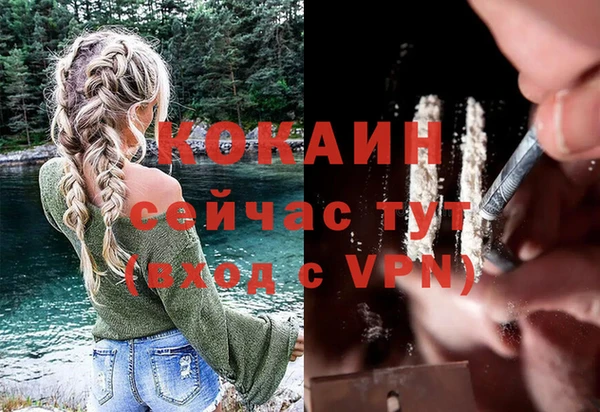 трава Аркадак