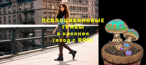 прущий лед Арсеньев